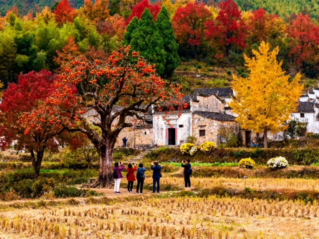 乡村旅游:要变了!2026年我们应该准备什么?