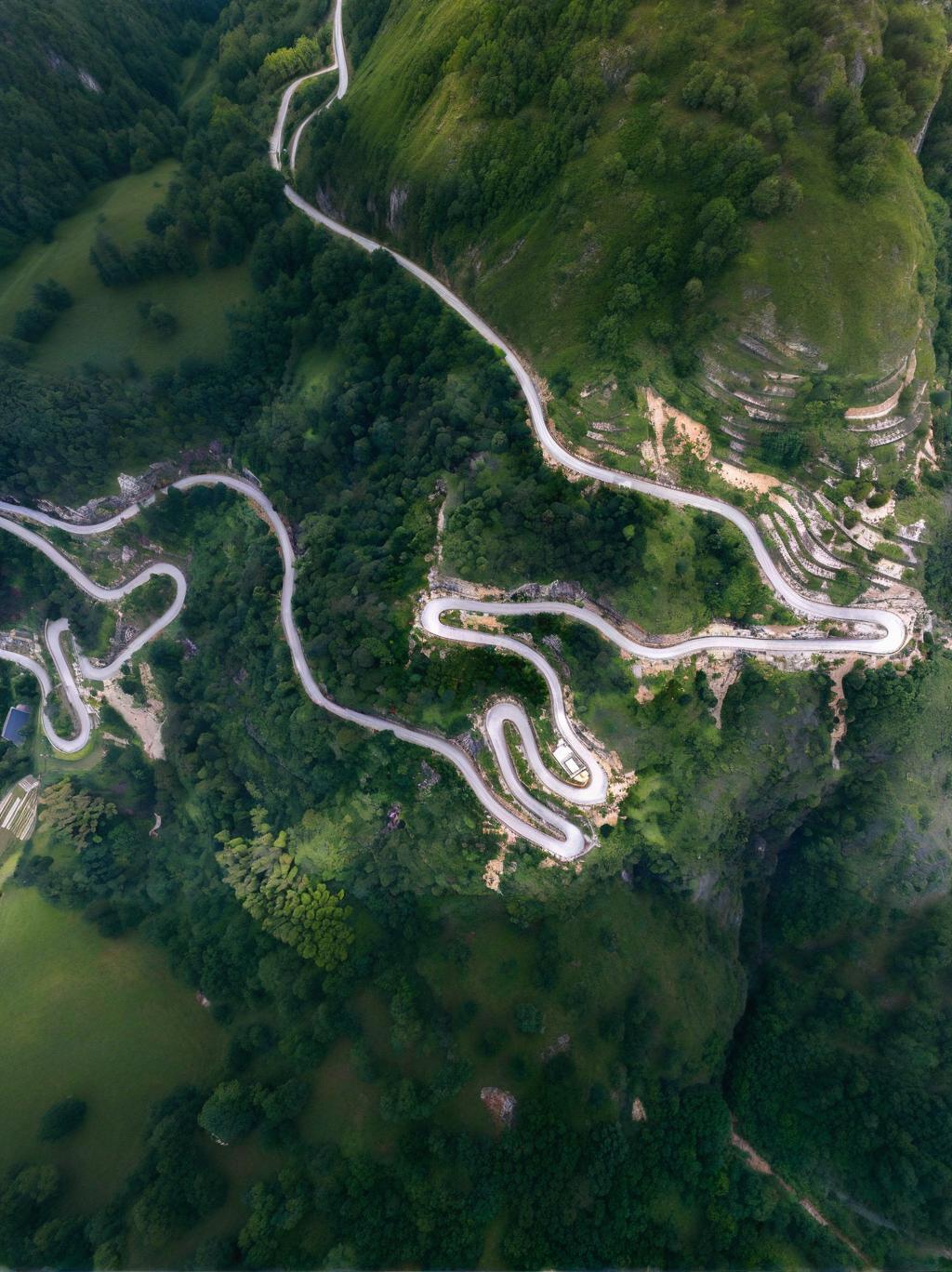 深山有真经：从“土掉渣”到“顶呱呱”的乡村产业致富密码。